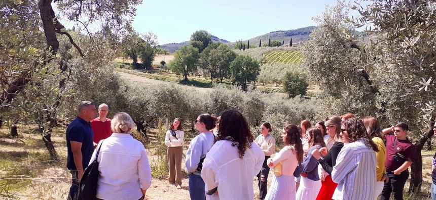 Rome Olive Tours