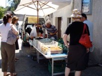 Alfio-markets