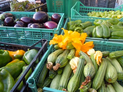 Organic vegetables