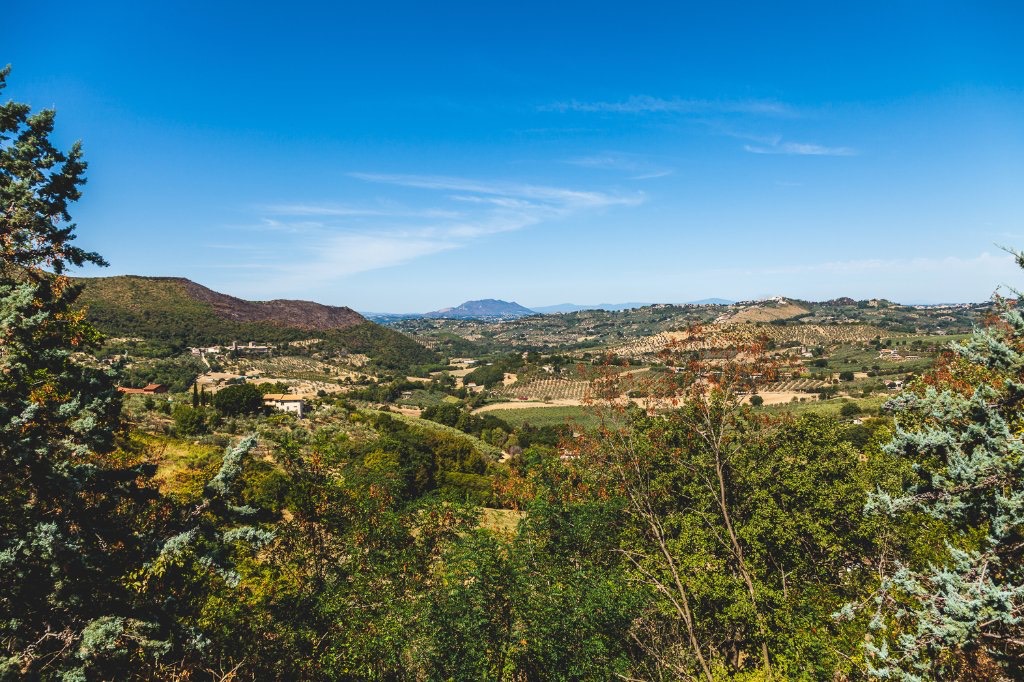 view-from-sally-and-guido